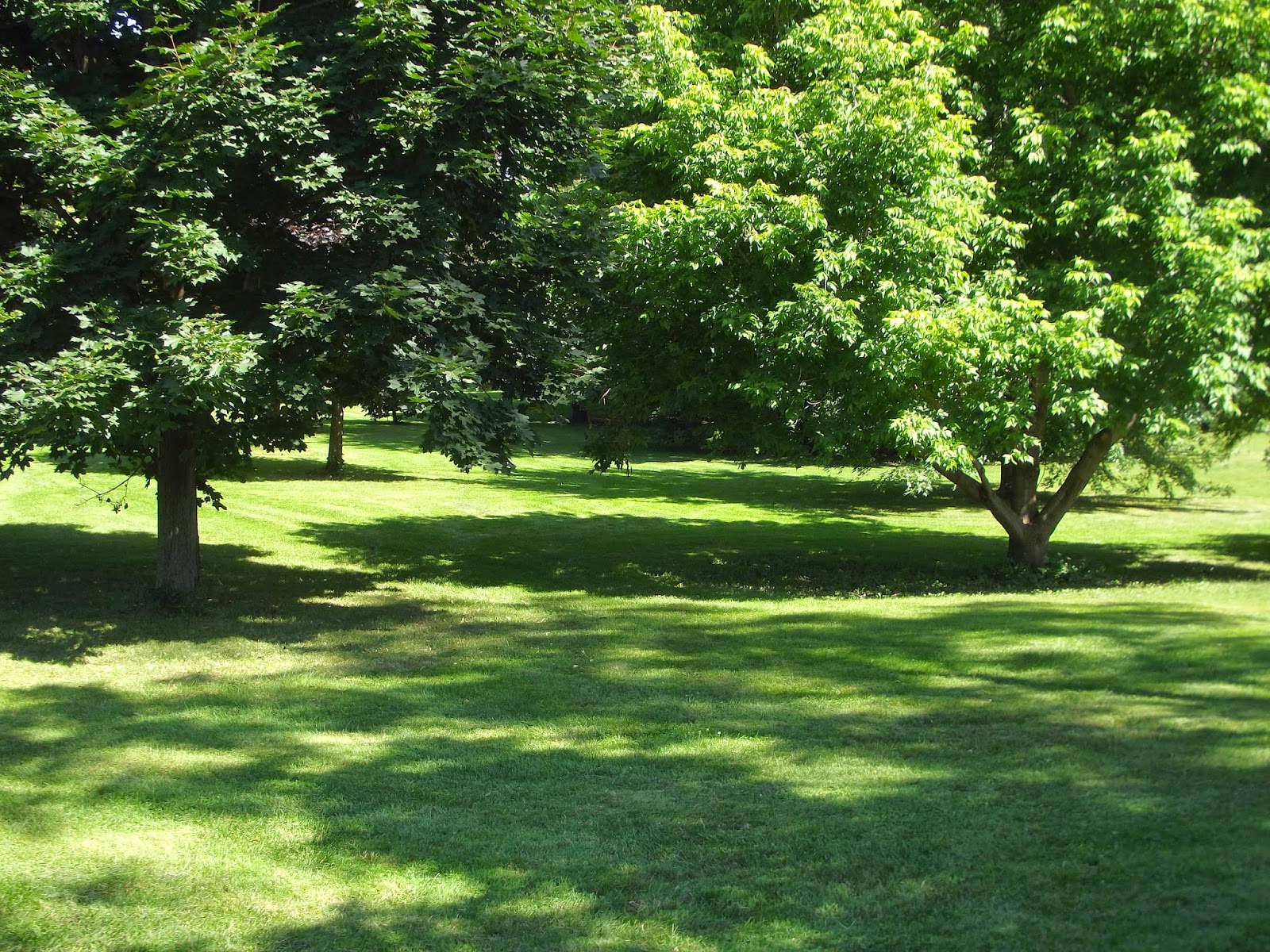 In The Garden Experimental Farm Ottawa