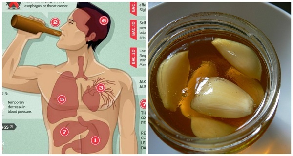 SI USTED COME AJO Y MIEL EN AYUNAS DURANTE 7 DÍAS, ESTO ES LO QUE SUCEDE CON SU CUERPO SI USTED COME AJO Y MIEL EN AYUNAS DURANTE 7 DÍAS, ESTO ES LO QUE SUCEDE CON SU CUERPO
