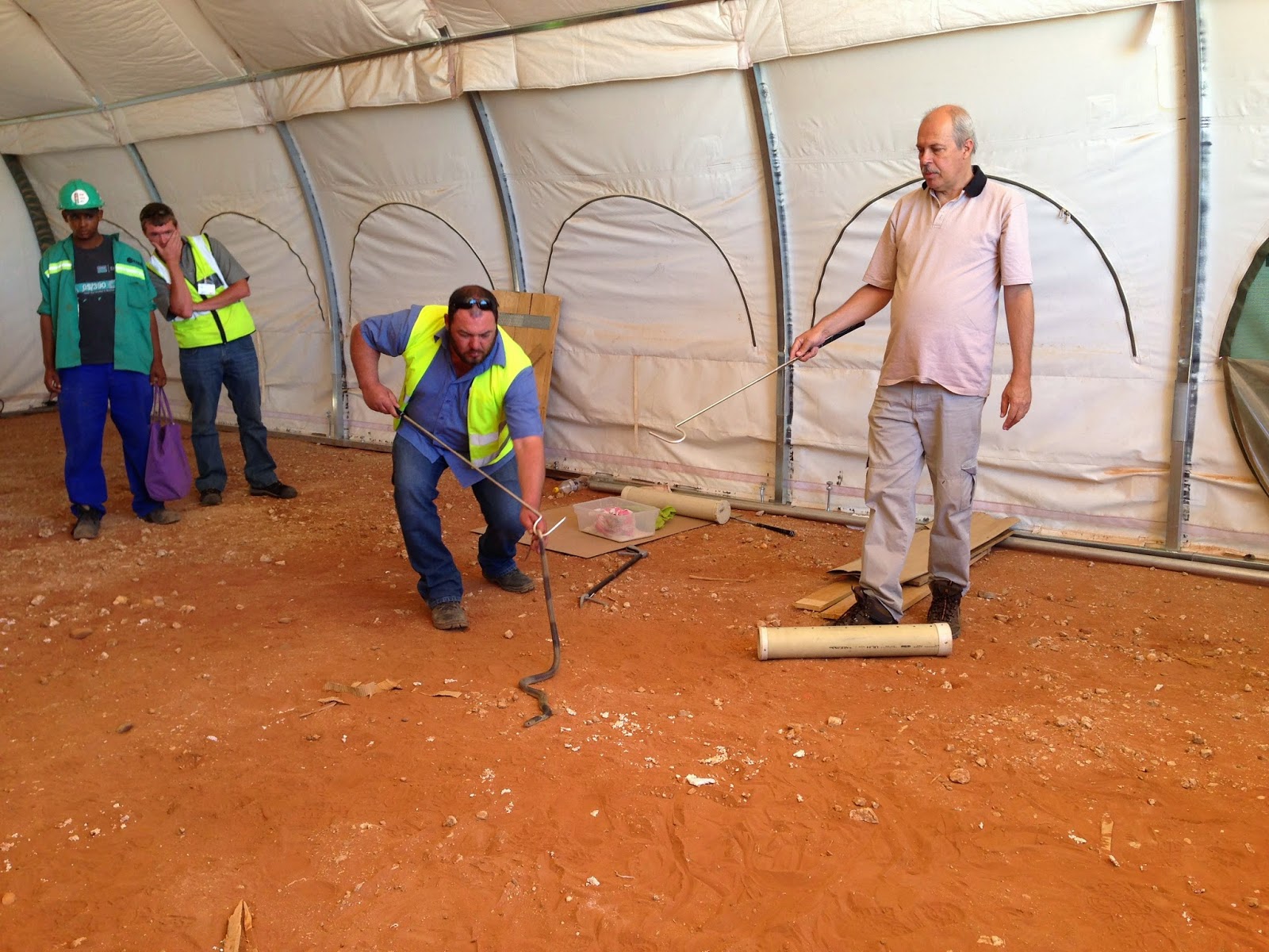One way ticket to South Africa Snake Handling Course