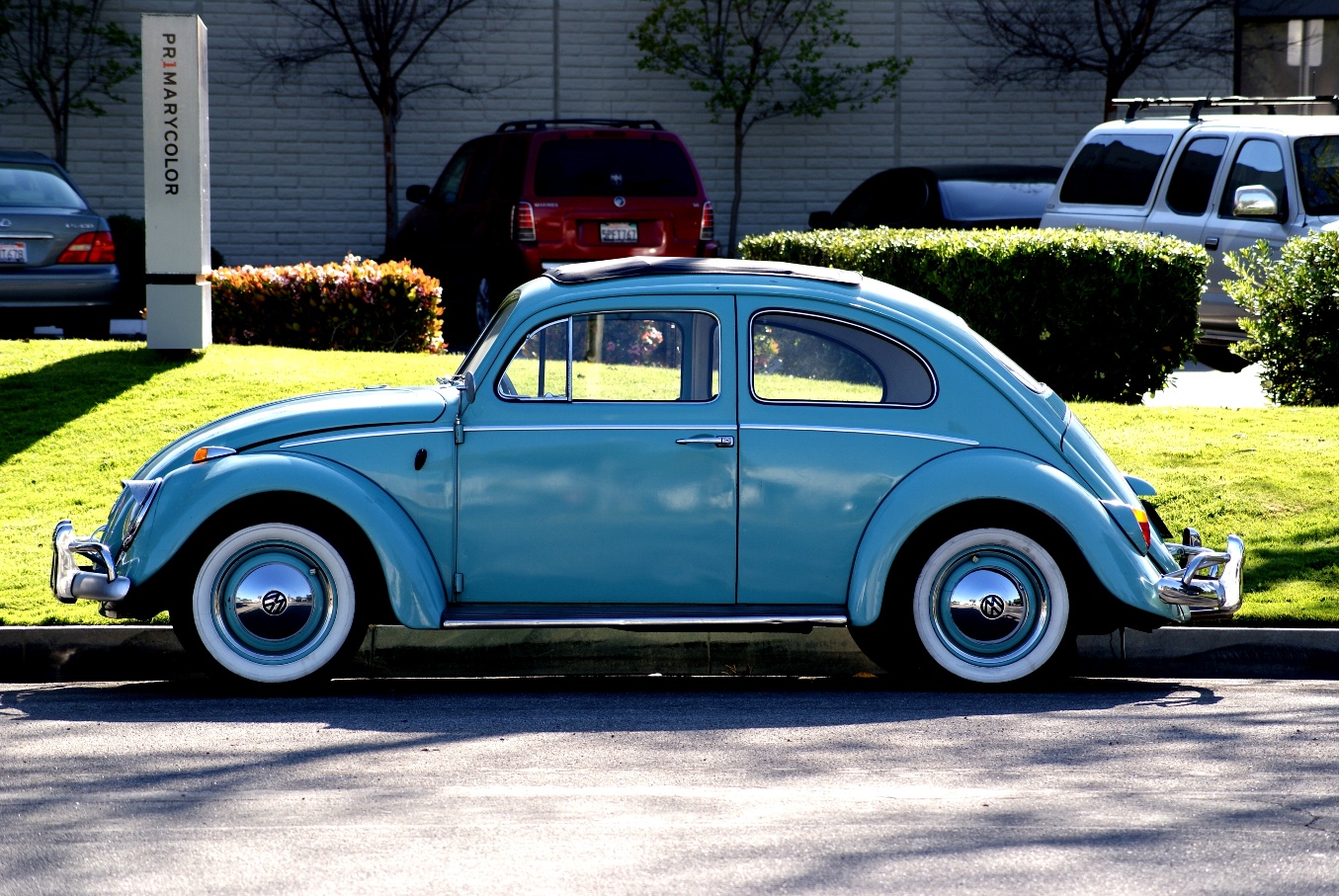 A photo, A thought............: Observation: Vintage Volkswagen beetles