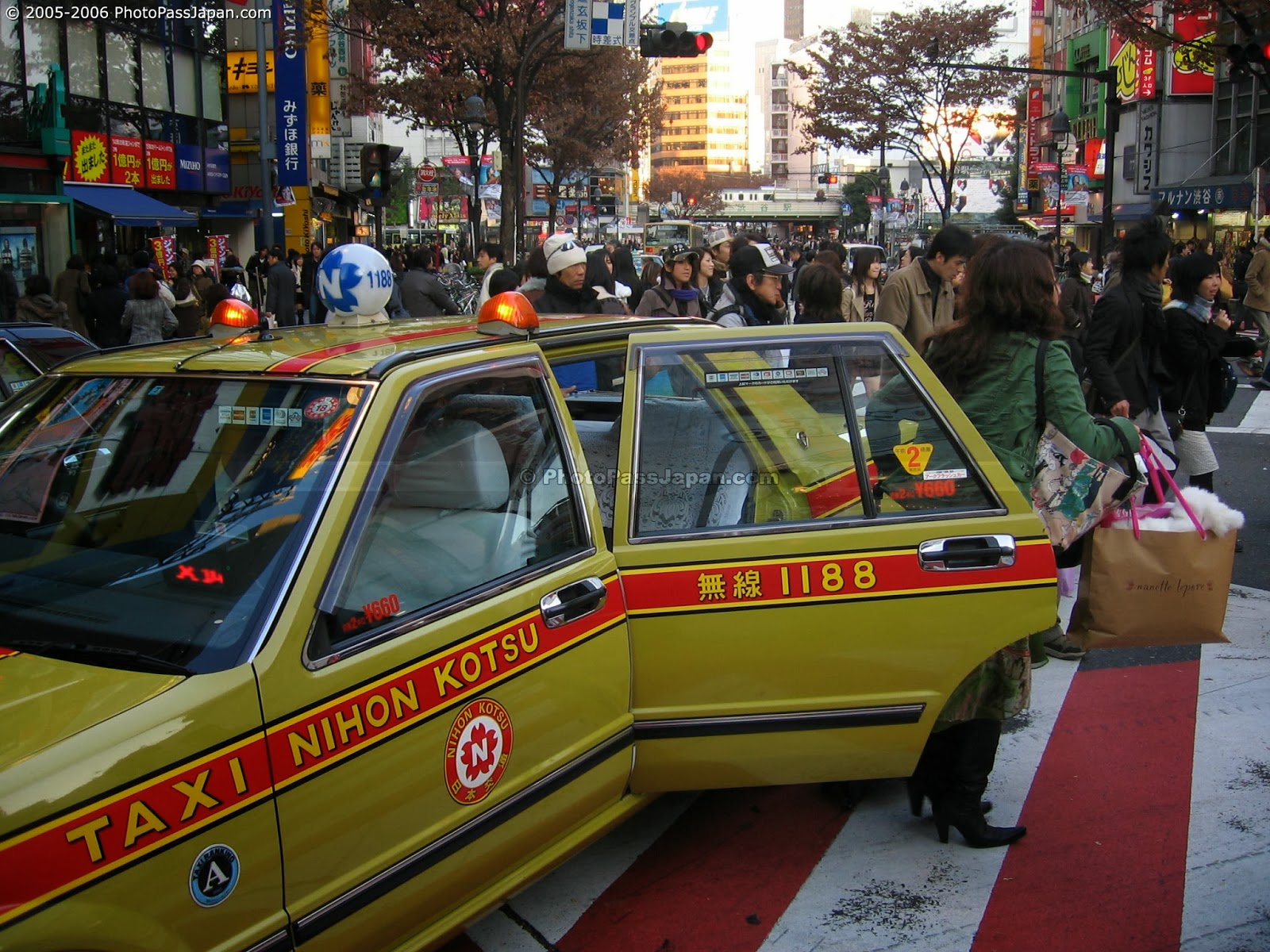 米国は世界で最も犬の生息数が多い国です。 (出典: Getty Images/転載)