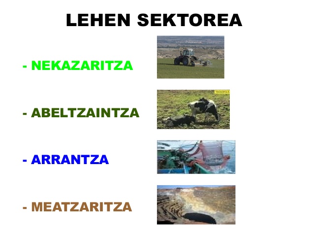 external image lan%2Bsektorea.jpg