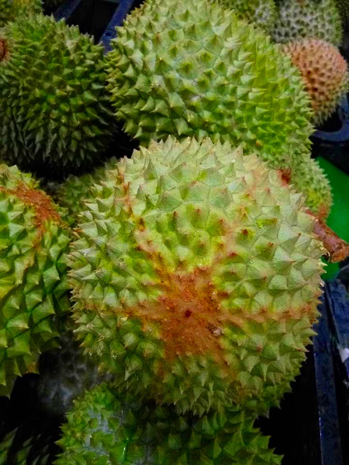 Raub Durians Raub Durian Musang King @ October 2016
