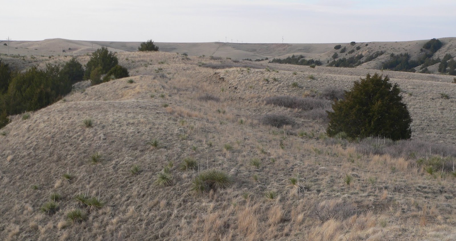 Heroes, Heroines, and History Ash Hollow by Way of Windlass Hill