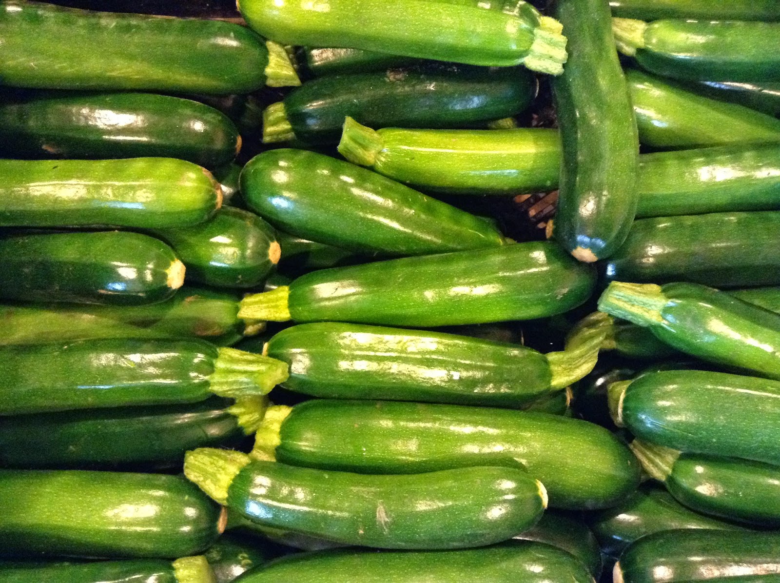Beautiful zucchini
