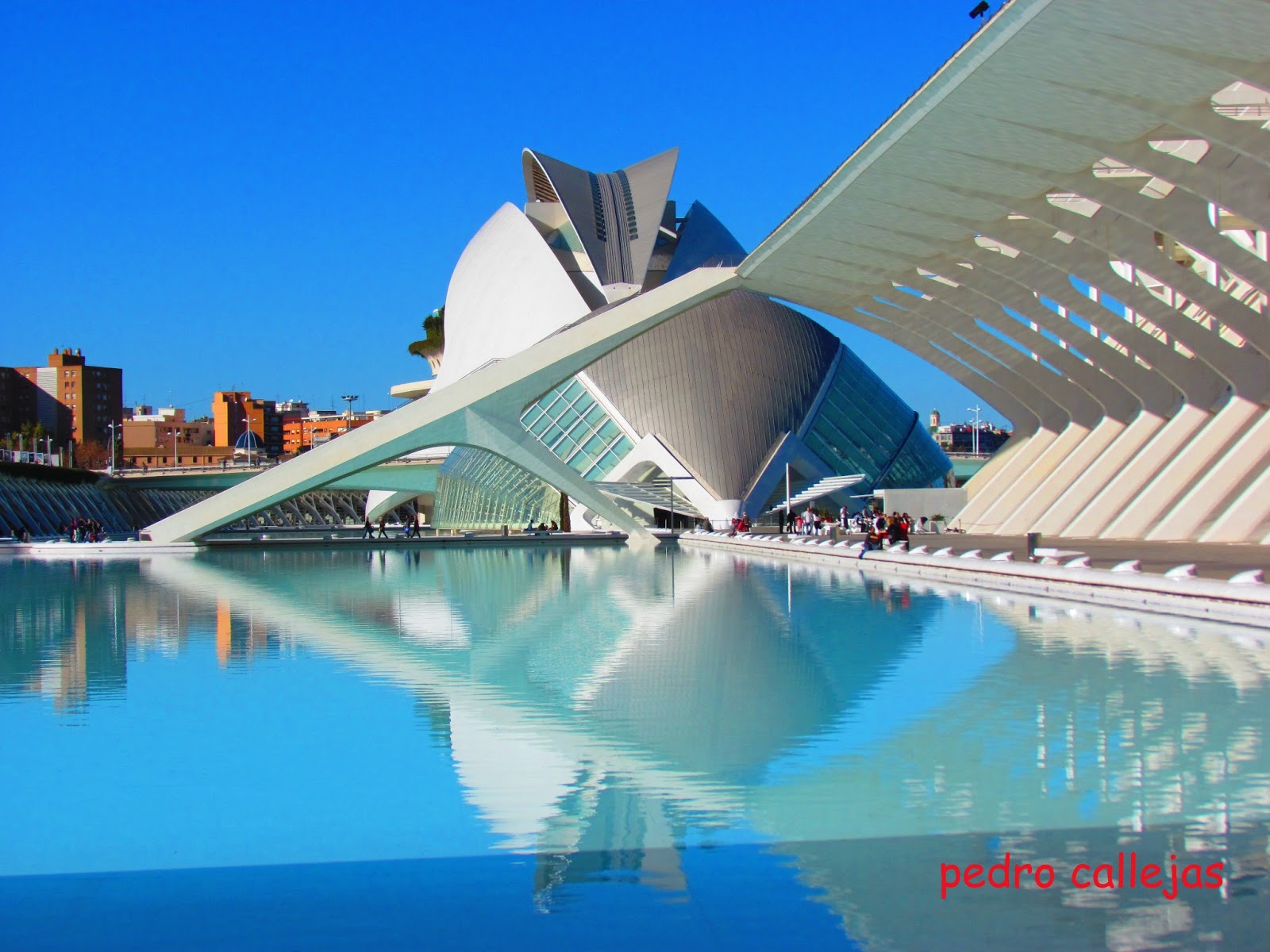 Mis Fotos y mis Cosas: CIUDAD DE LAS ARTES Y LAS CIENCIAS DE VALENCIA