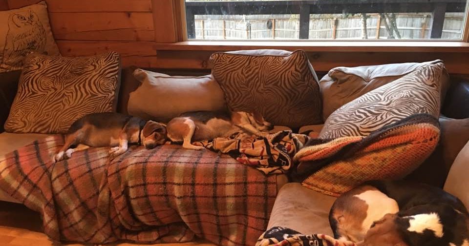 It&rsquo;s been how long???