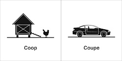 coop coupe chicken jokes sedan doors why weakly homophones because four had would does