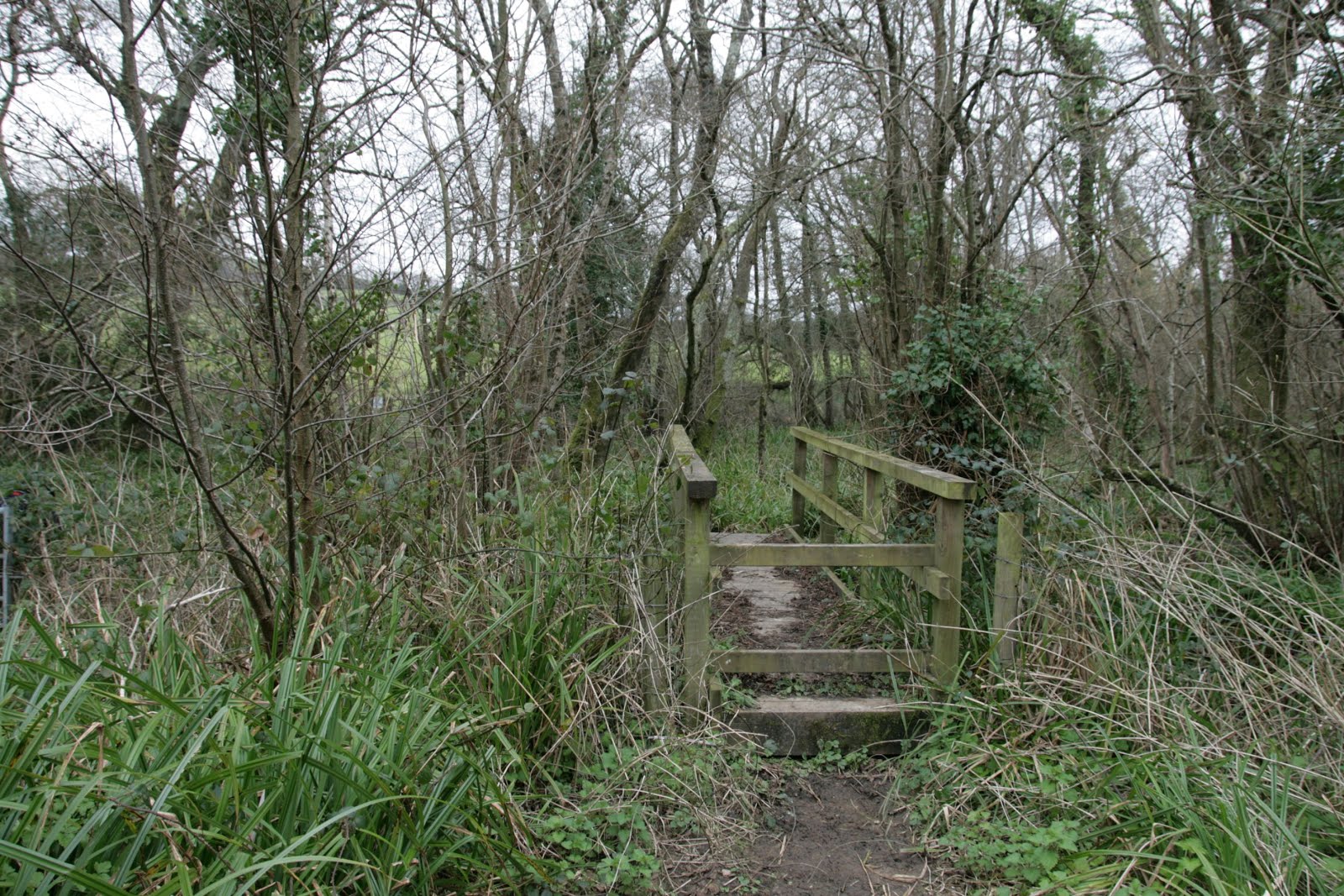 Walking Dorset's gridsquares Shipton Circular