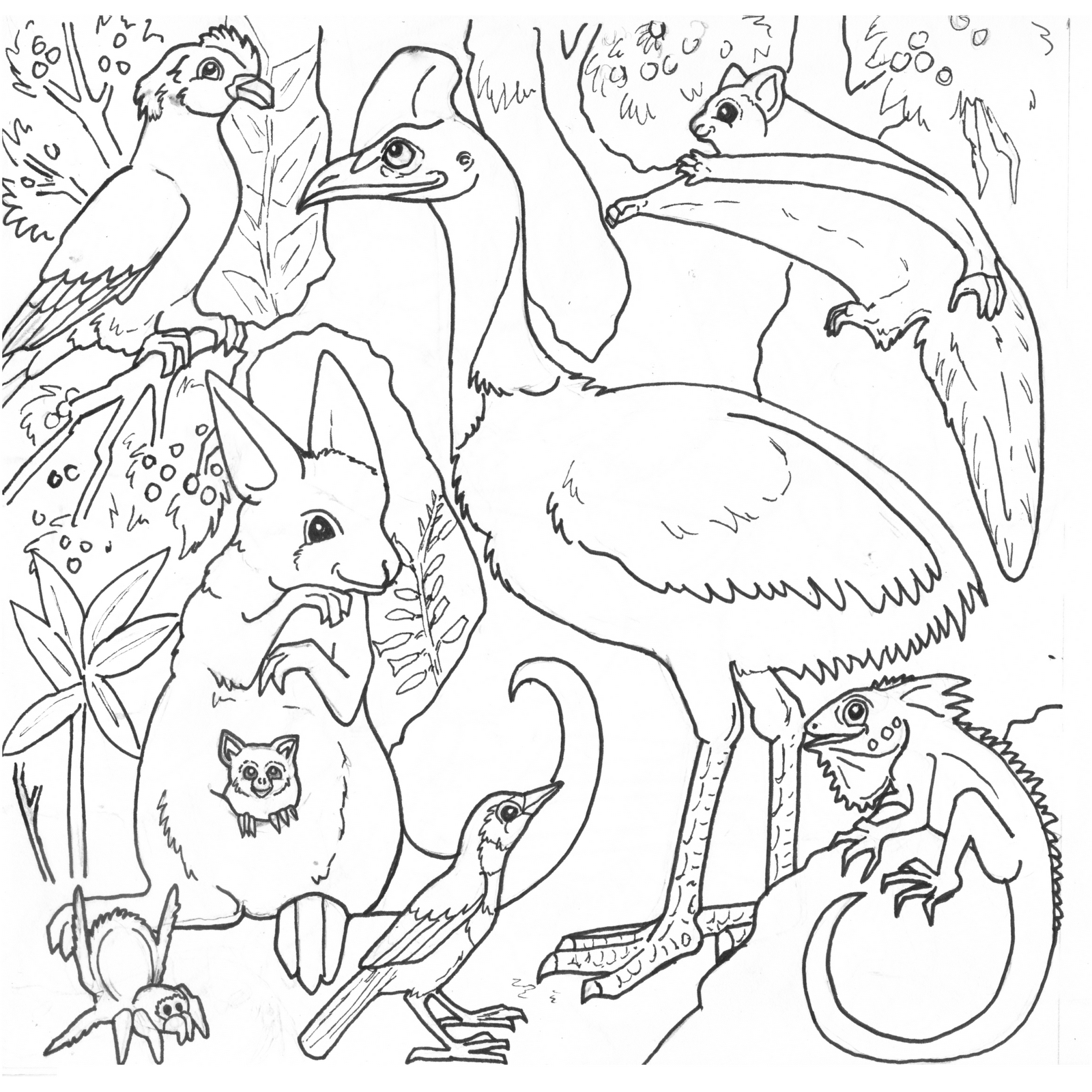 Rainforest Coloring Pages Coloring Pages Gallery