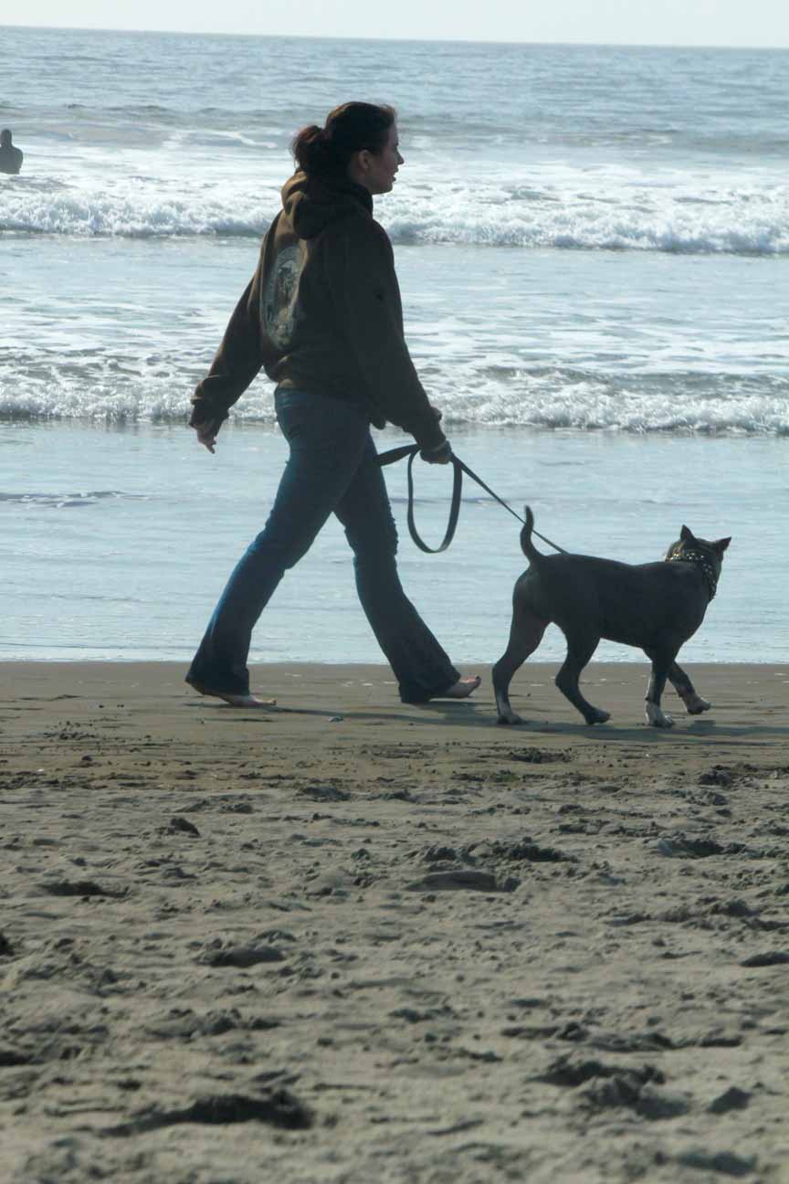 Bluebear's Photo Gallery A trip to Stinson Beach and Mount Tamalpias