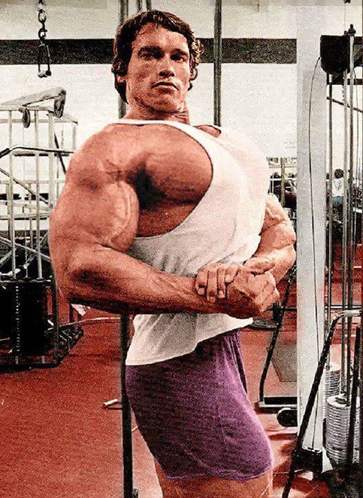 FITNESS&MUSCLE: As medidas de Arnold Schwarzenegger