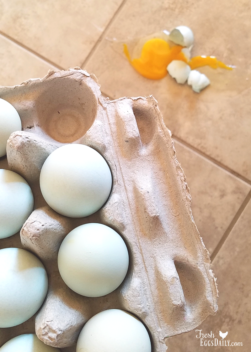 How To Clean A Broken Egg Off the Kitchen Floor - Fresh Eggs Daily