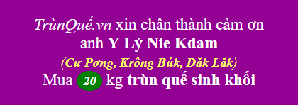 Trùn quế về Cư Pơng