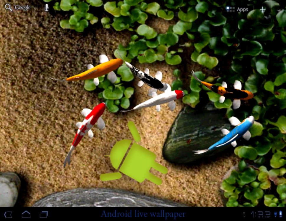 How to get live wallpapers on your android smartphones   itprobs