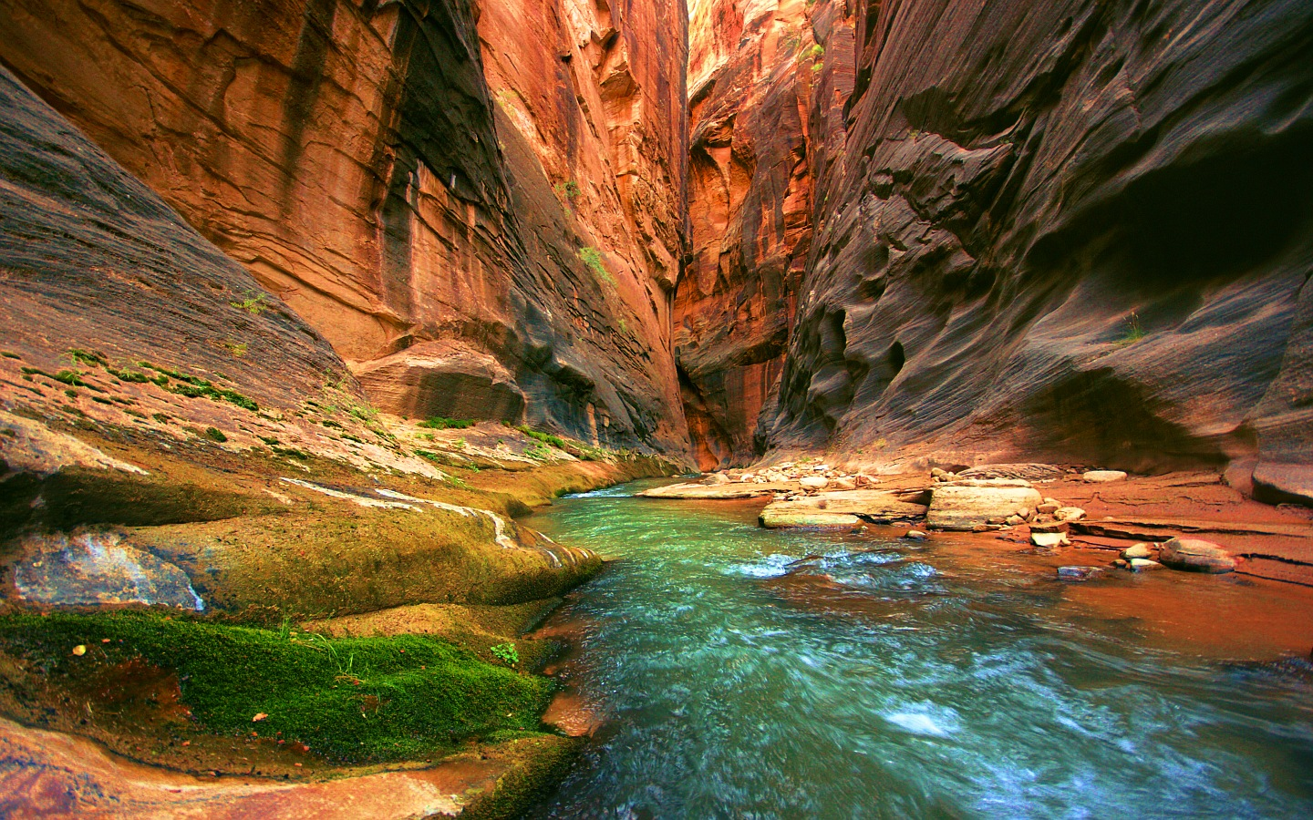 Forum Image: http://3.bp.blogspot.com/-1kz52WtuWUE/Uc44QuxAknI/AAAAAAAADrE/COOVF3n7S9w/s1440/Nature+Pics+ActivatingThoughts.Blogspot.in+(1).png