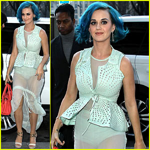 The Best 5 of Celebrities Transparent Dresses Dresses For You
