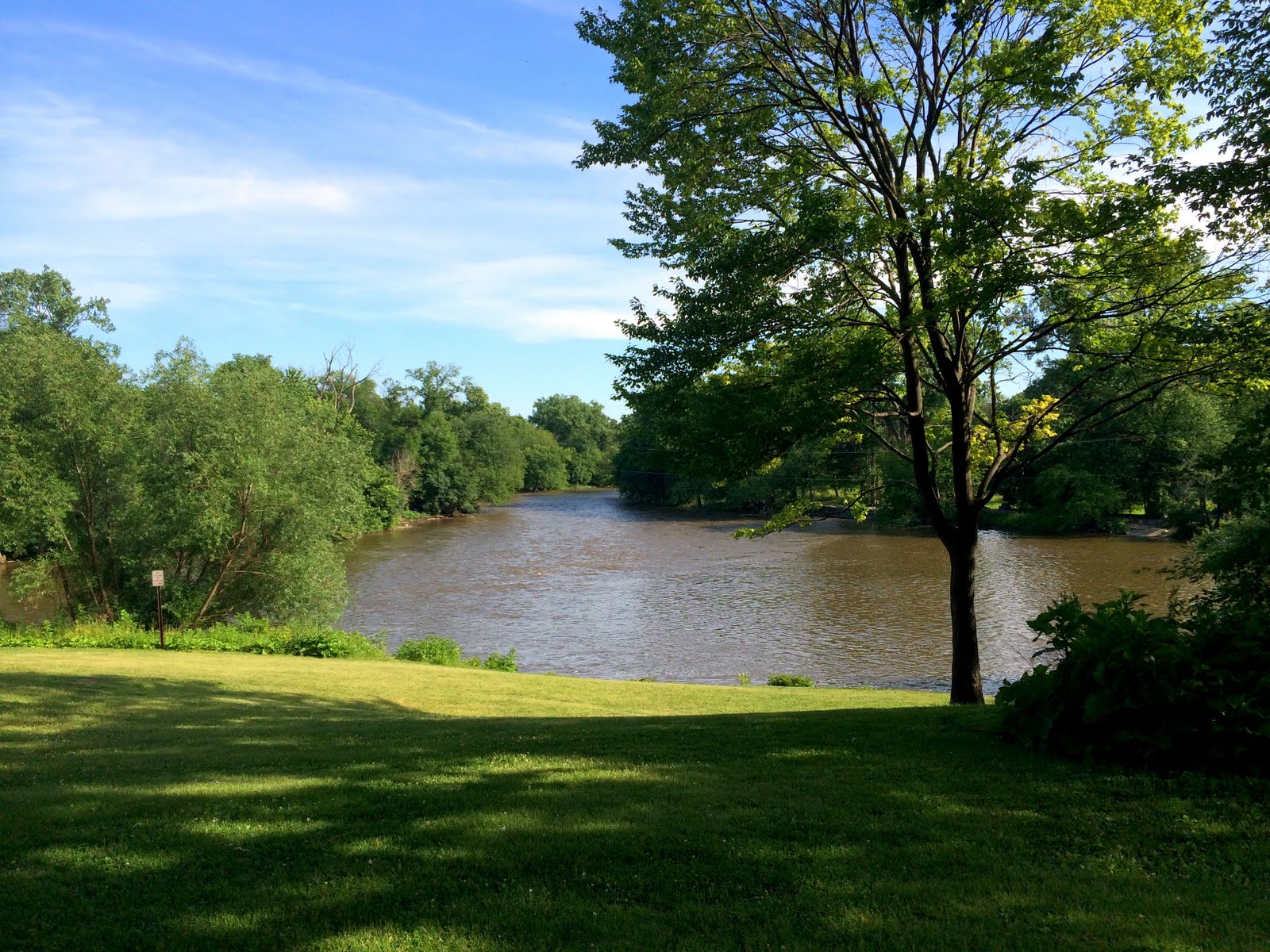 Swan Pond Summer 2014 in Riverside, Illinois