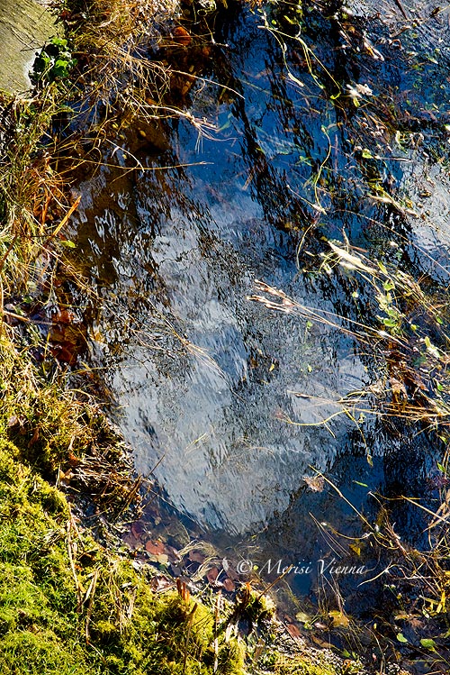 Le Blog Magnifique Vienna