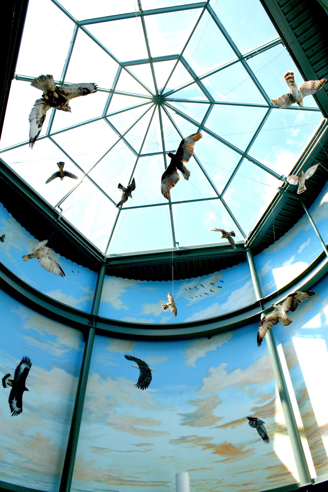 A Little Time and a Keyboard National Eagle Center in Wabasha, Minnesota