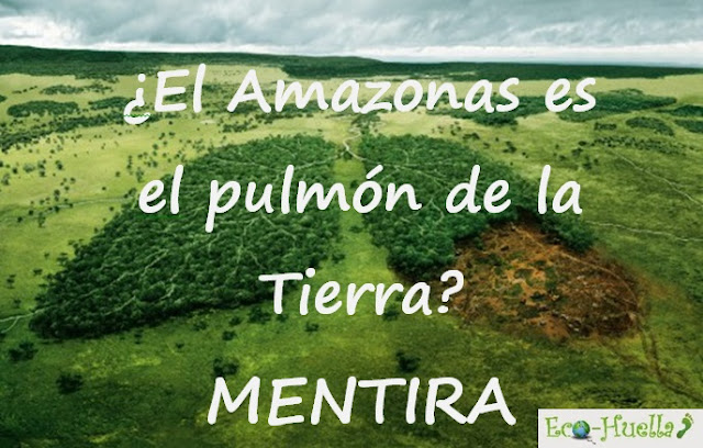 El amazonas es el pulmón de la Tierra: MENTIRA