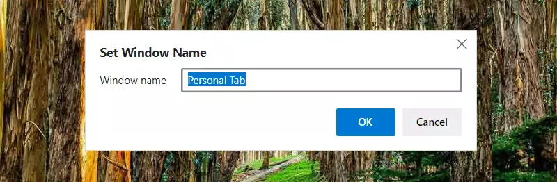 Give a proper name to Microsoft Edge browser window Give a proper name to Microsoft Edge browser window