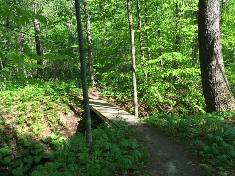 Mountain Biking and Hiking Pics Rich Coffey A day for