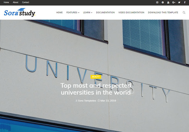 Sora Study Sora Study Blogger Template