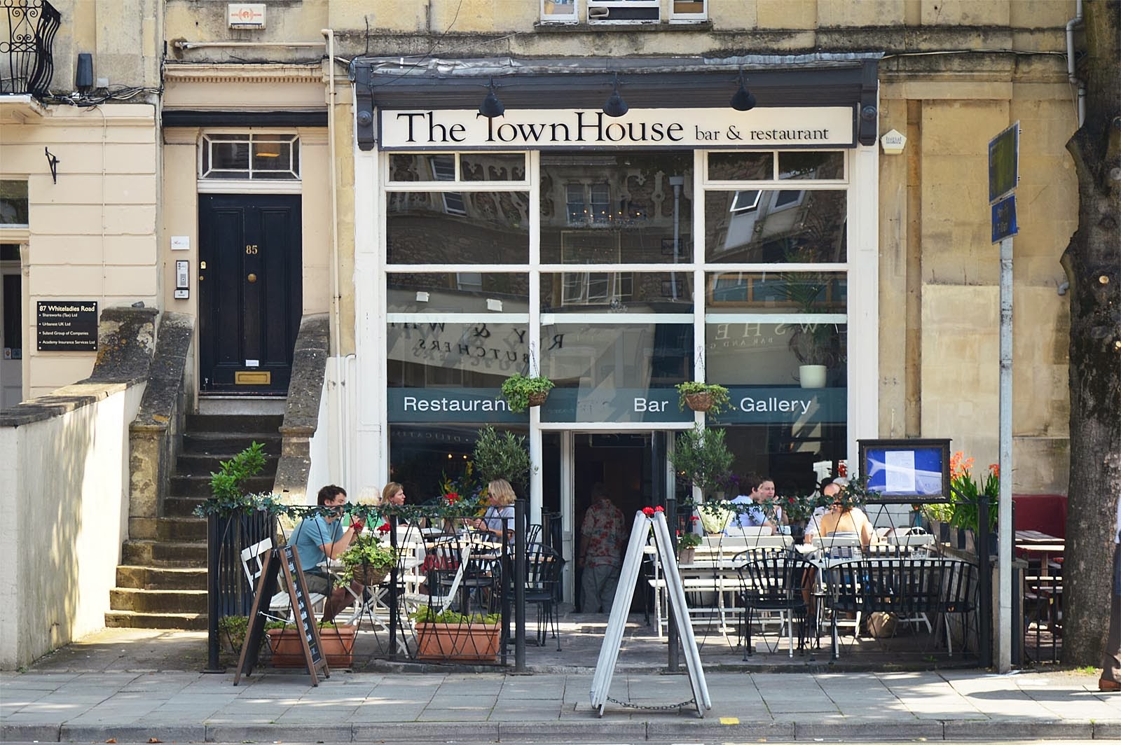 Inside the Olive Tree