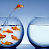 IL SIGNIFICATO DEL PESCE D'APRILE E LE FACEZIE DIGITALI DI GOOGLE