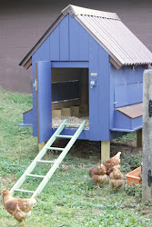 chicken coop painted diy kensington clark decor featuring barre ballet inside china cassie coops backyard coup heirloom read cassiebustamante info