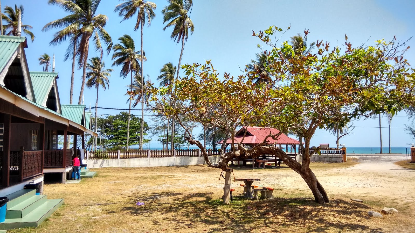 Chalet Guesthouse Teratak Samuderakita Kuala Terengganu Malaysia Posted By Cocotree At 10 58 Pm 5 Comments