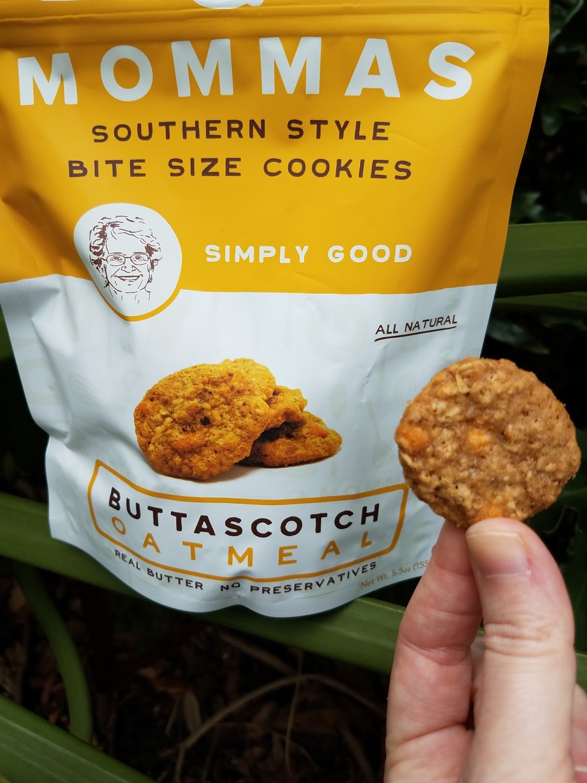 The ABCD Diaries G Mommas Cookies A True Taste of the South! spon