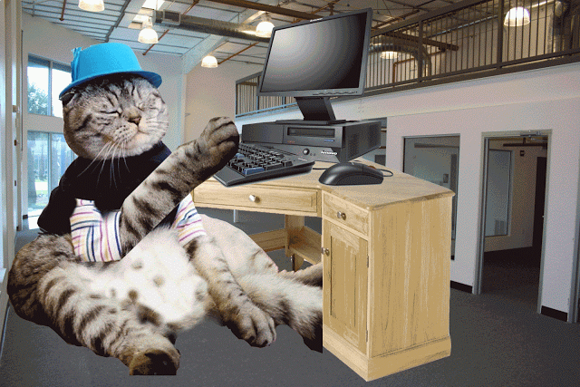 Mister Wilson's Web Design Class: Gif Animation Challenge!!!!