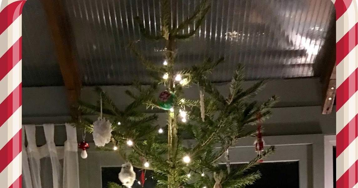 Treetastic delivery service from Pines and Needles Christmas Tree