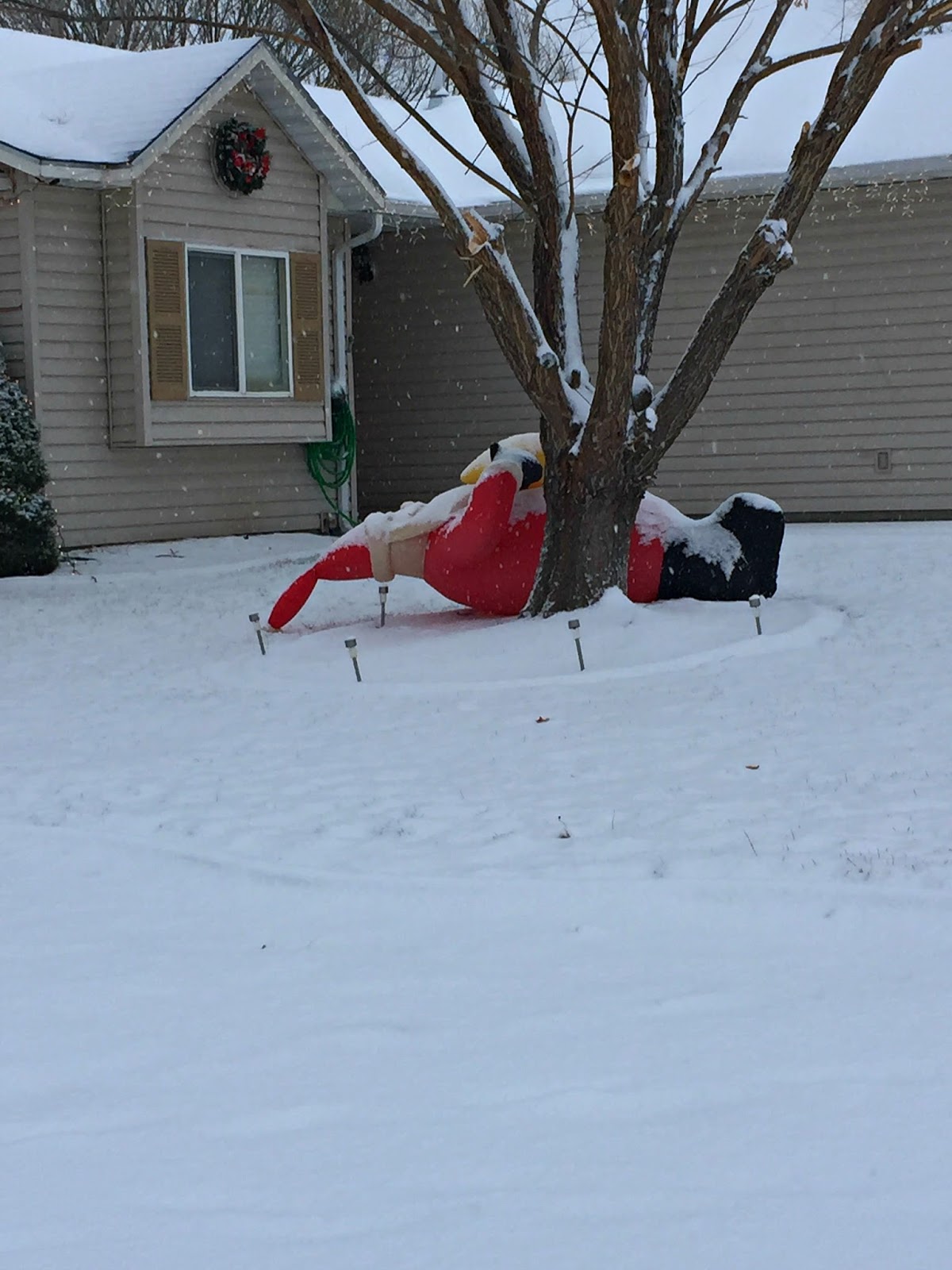 Vista Woman Christmas Light Tour