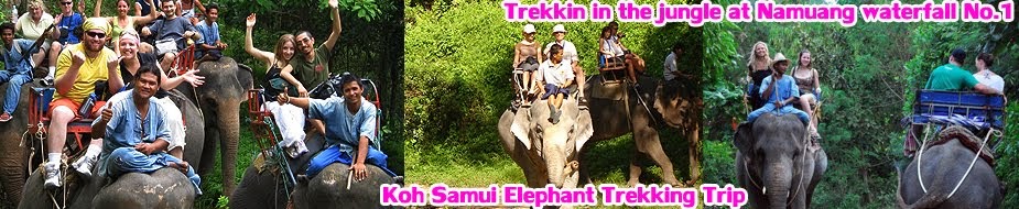 Elephant Trekking Samui Namung Jungle Trip : Samui Elephant Trekking Camp at Namuang Waterfall No.1