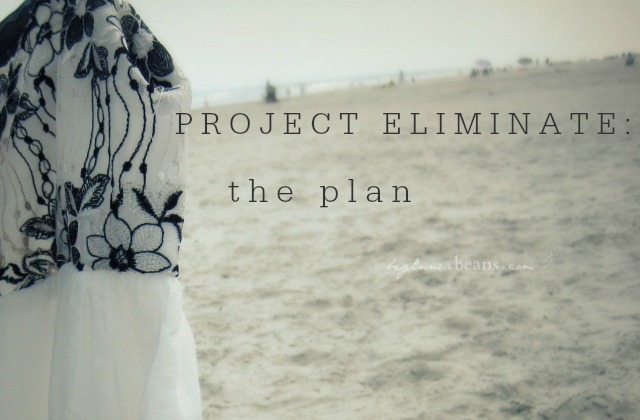 Project Eliminate: The Plan