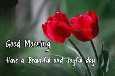 Good Morning Image Good Morning Image