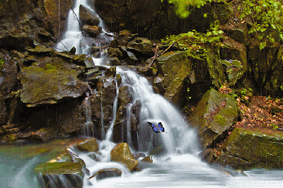 Gambar Air Terjun Animasi Bergerak Wallpaper Animation Gif Gambar Air Terjun Animasi Bergerak Wallpaper Animation Gif