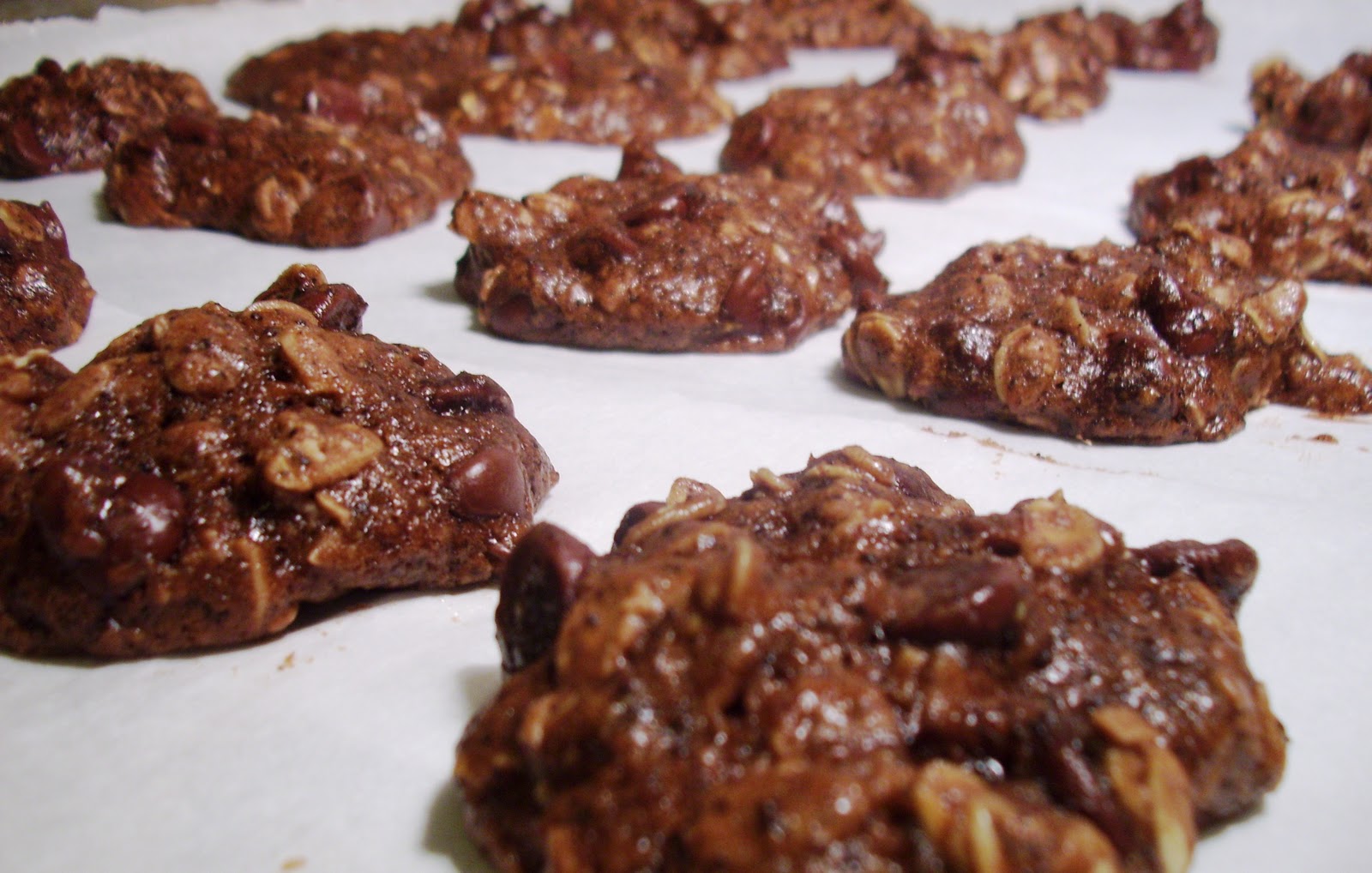 Veggie Horizons 12 Days of Christmas Cookies Espresso Chip Oatmeal