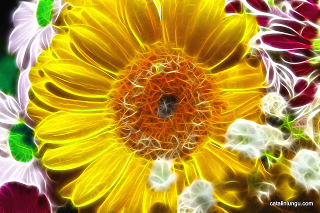 colorful bouquet - fractal flowers