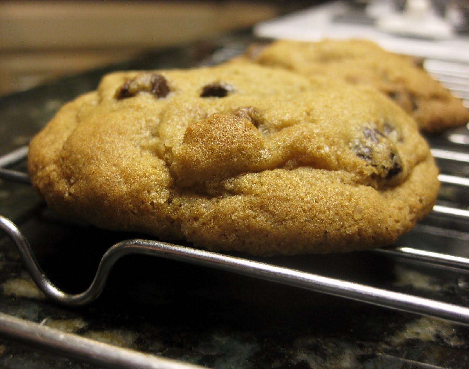 Not the Normal Teenage Fare The GREAT Chocolate Chip Cookie Experiment