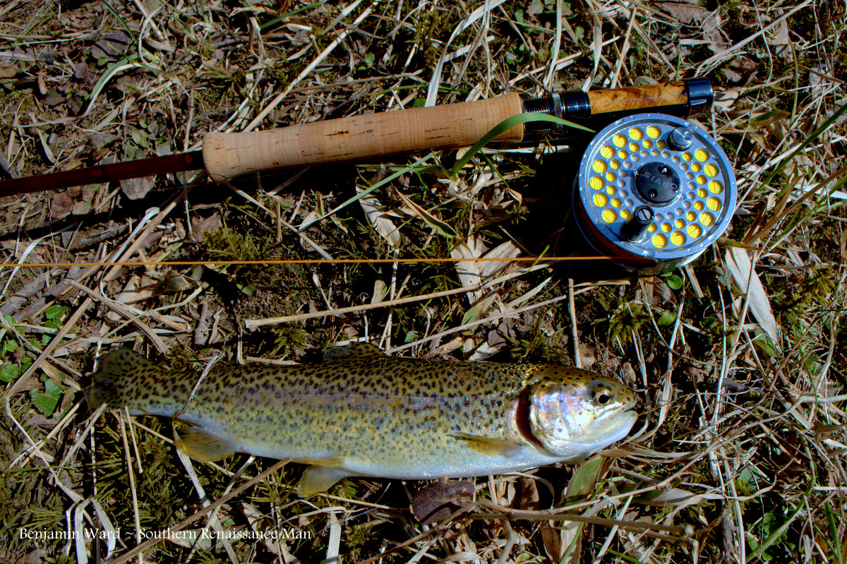 Southern Renaissance Man Jackson River VA Fly Fishing Report (In Pictures)