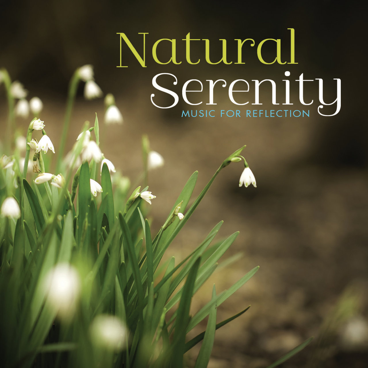 2013 flac. Yuri Sazonoff. Michael Maxwell. Serenity nature. Natura Serenity ildago.