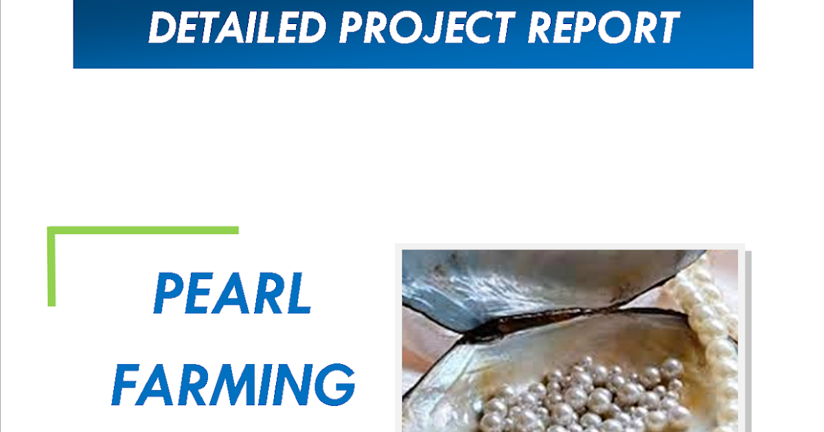Pearl Farming Project Report Space Consultancy Services