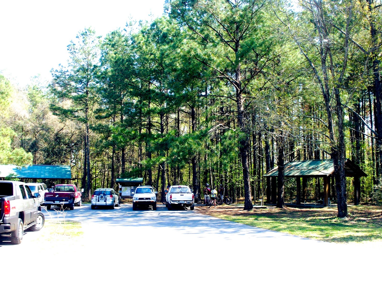 Chuck's Adventures Biking Ocala, Florida's, Santos Bike Trails