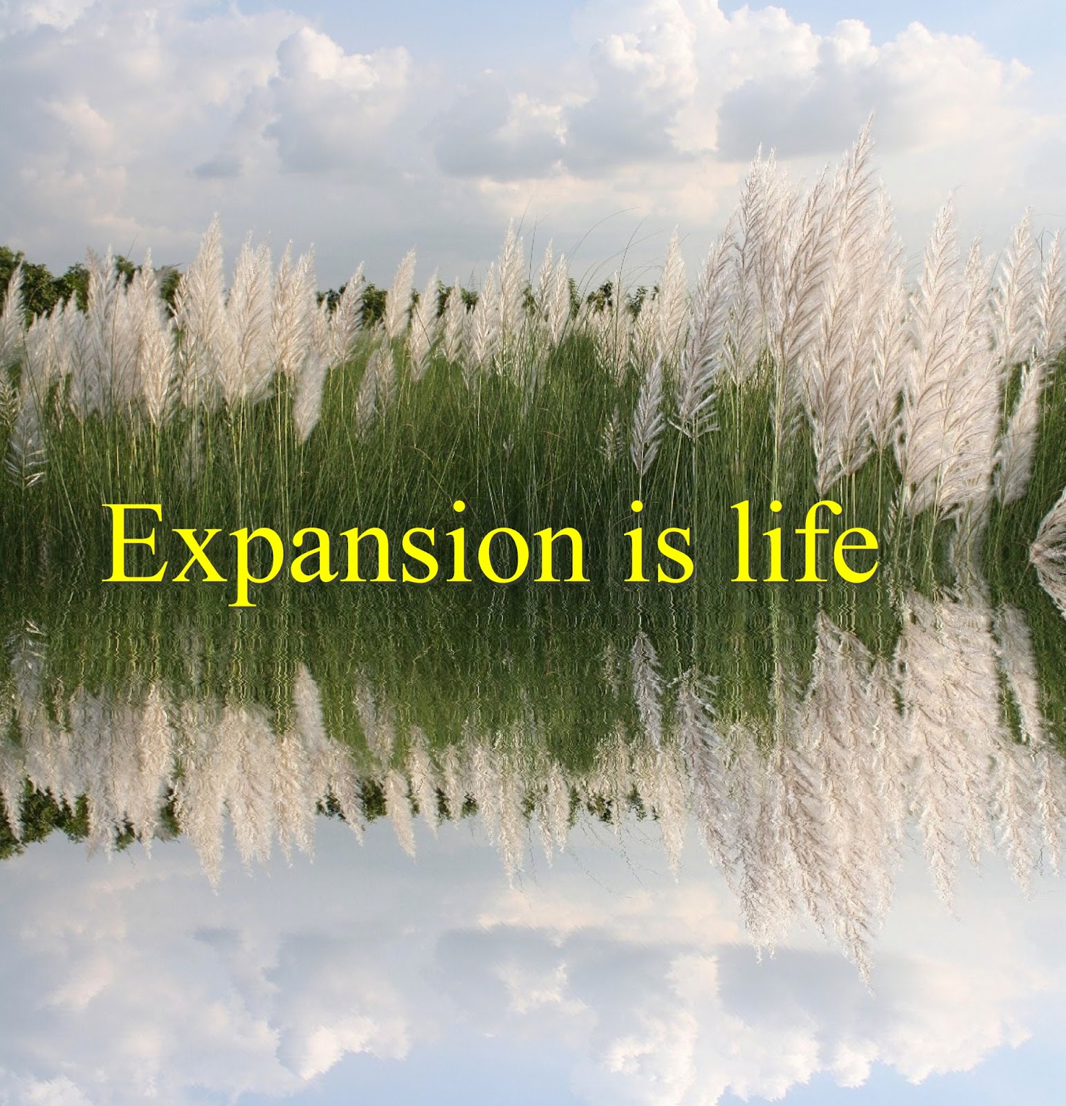 journey in this life