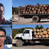 Aseguran dos camiones que transportaban pinos talados