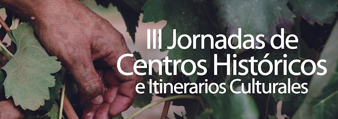 JORNADAS CENTROS HISTÓRICOS (Diputación de Castellón)
